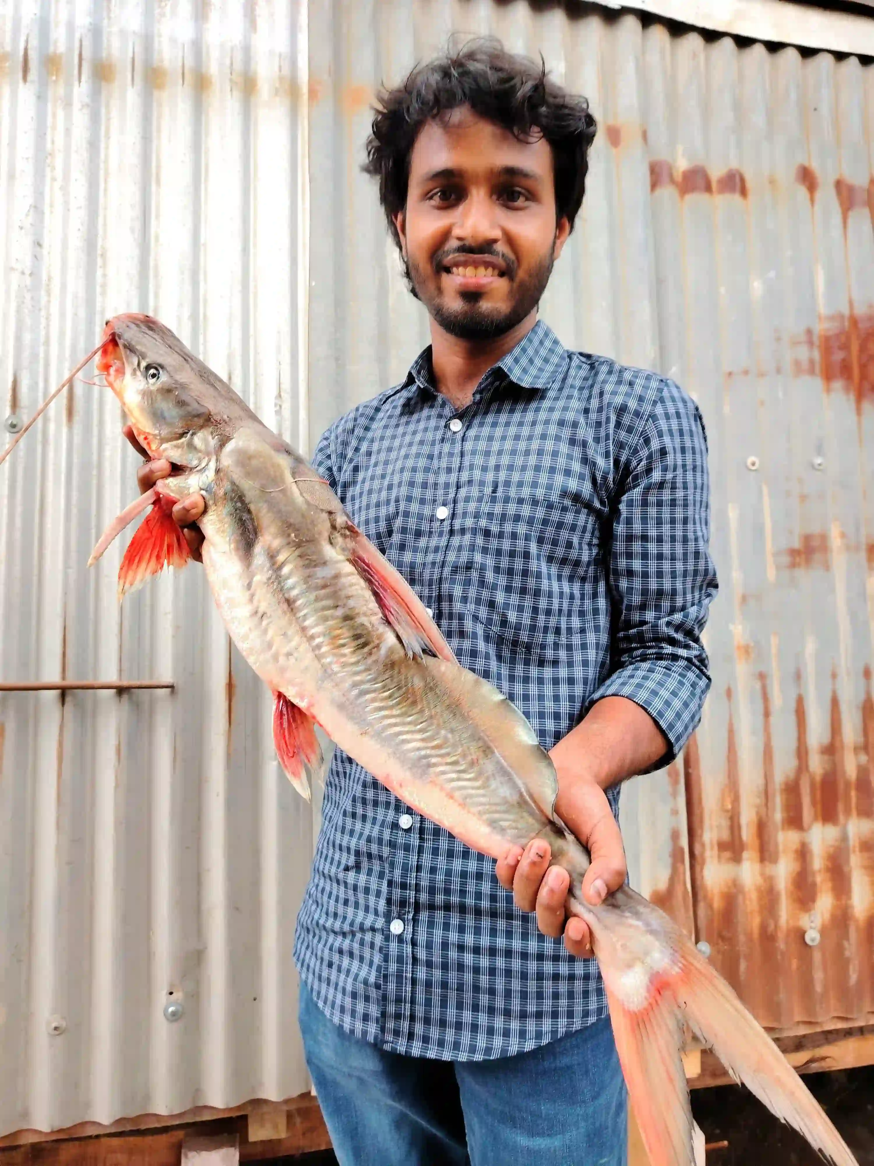 Fresh Fish Home Delivery in Dhaka | Fish Carnival
